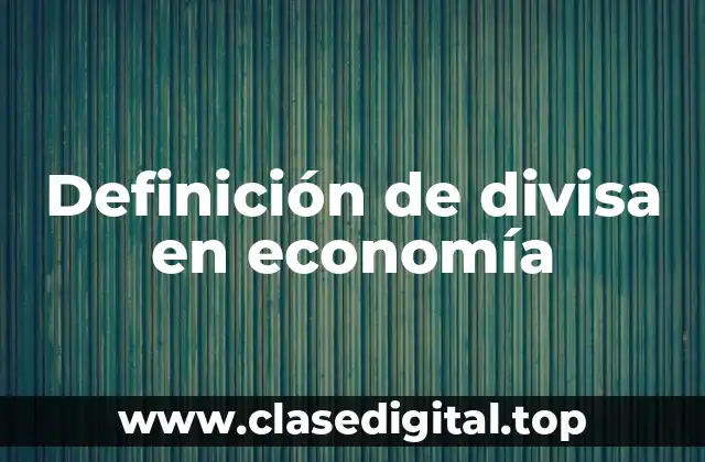 Definición de divisa en economía