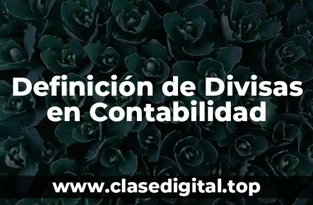 Definición de Divisas en Contabilidad