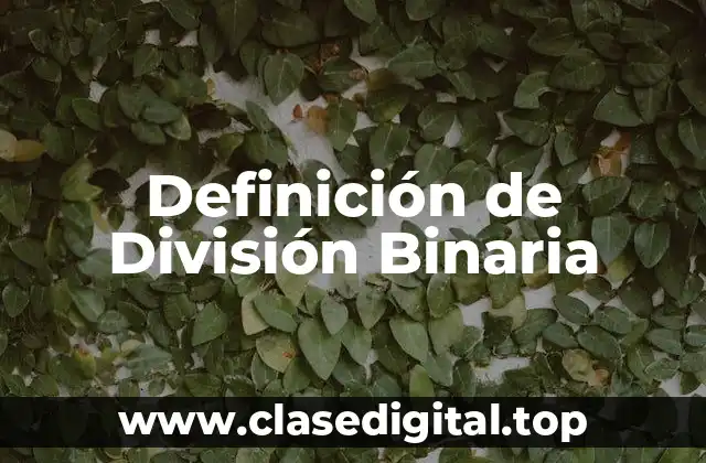 Definición técnica de División Binaria