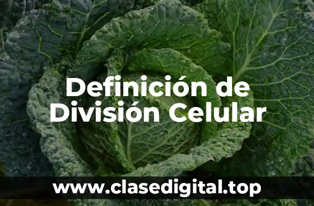 Definición de División Celular