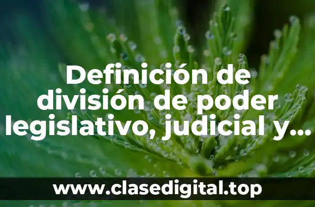 Definición de división de poder legislativo, judicial y ejecutivo