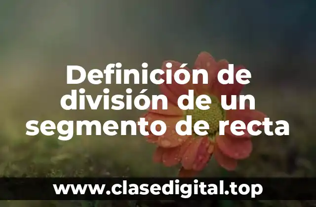 Definición de división de un segmento de recta