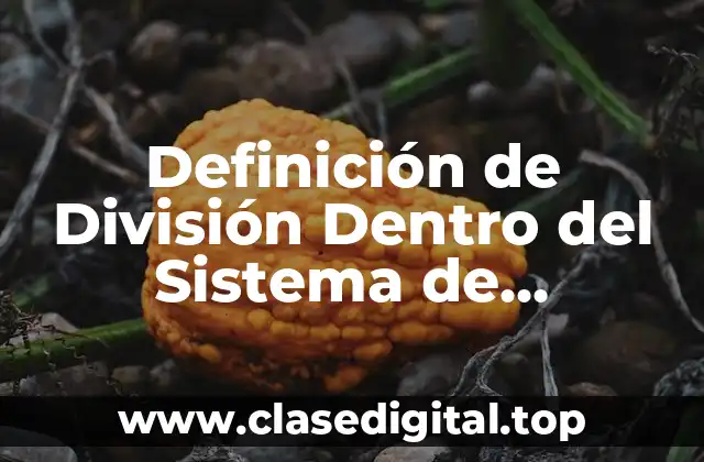 Definición de División Dentro del Sistema de Organización