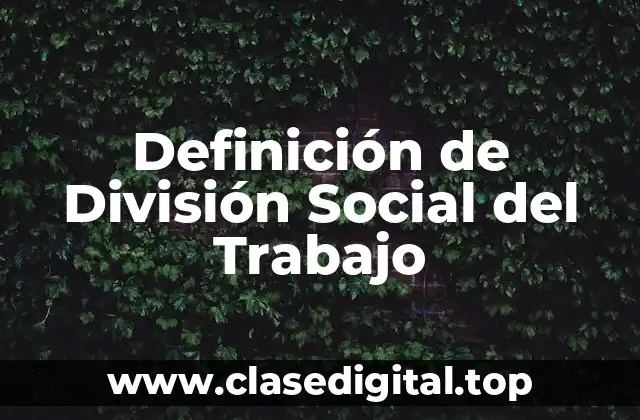 Definición de División Social del Trabajo