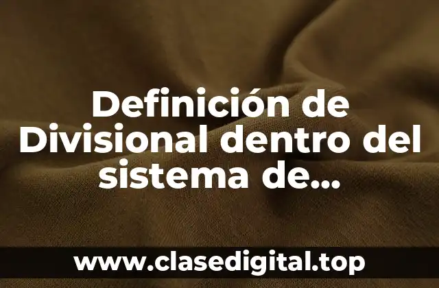 Definición de Divisional dentro del sistema de organización