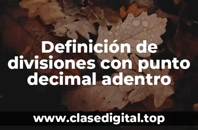 Definición de divisiones con punto decimal adentro