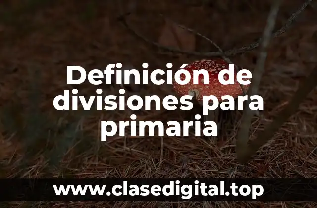 Definición de divisiones para primaria