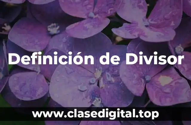 Definición técnica de Divisor