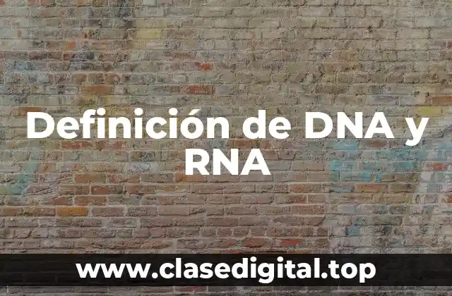 Definición de DNA y RNA