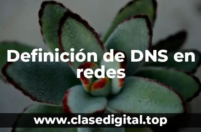 Definición de DNS en redes