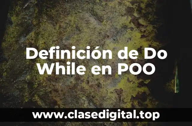 Definición de Do While en POO