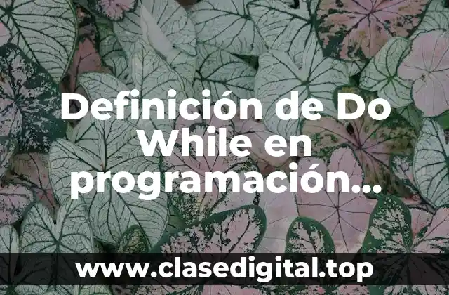 Definición técnica de Do While