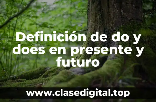 Definición de do y does en presente y futuro