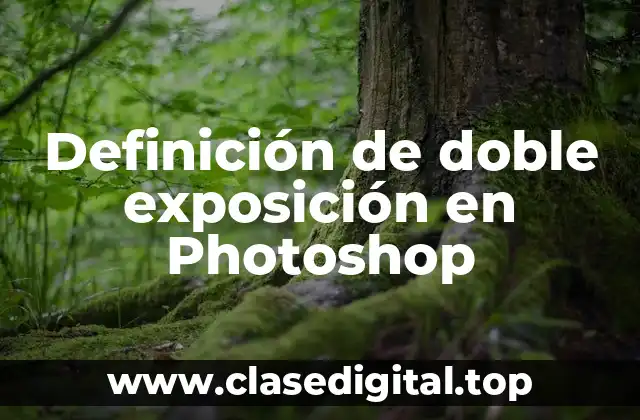 Definición técnica de doble exposición