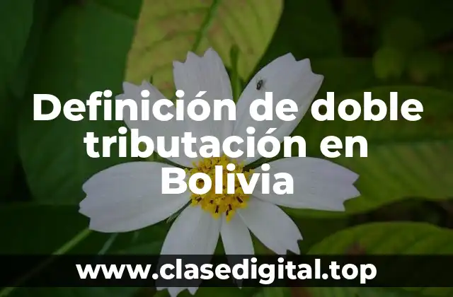 Definición de doble tributación en Bolivia