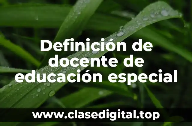 Definición de docente de educación especial