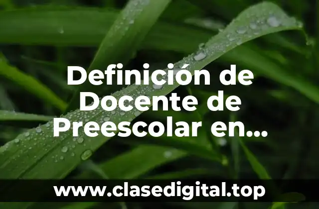 Definición de Docente de Preescolar en México