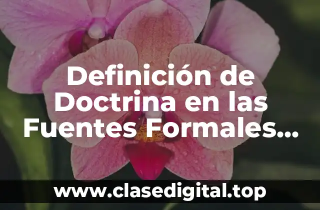 Definición de Doctrina en las Fuentes Formales del Derecho