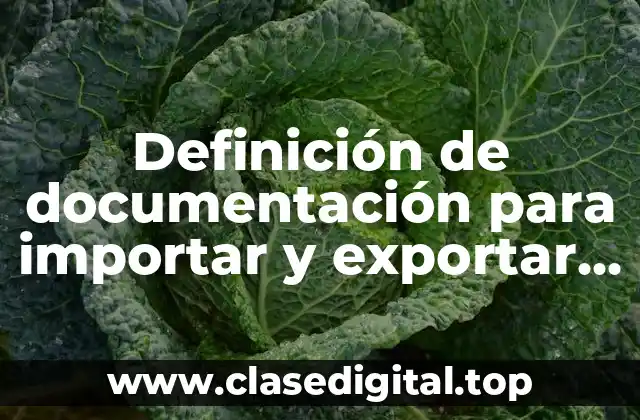 Definición de documentación para importar y exportar mercancías