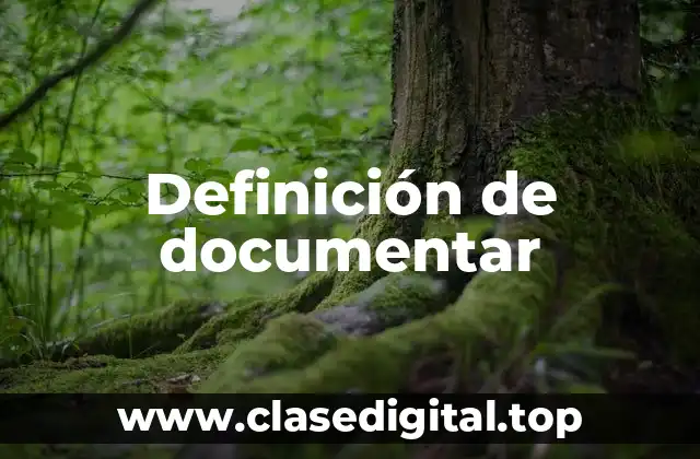 Definición técnica de documentar