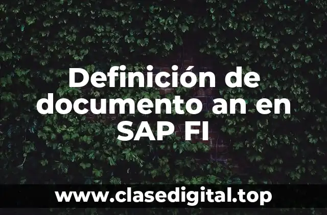 Definición de documento an en SAP FI