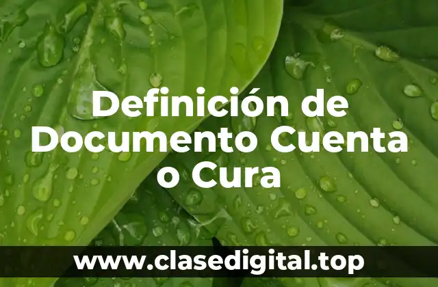 Definición de Documento Cuenta o Cura