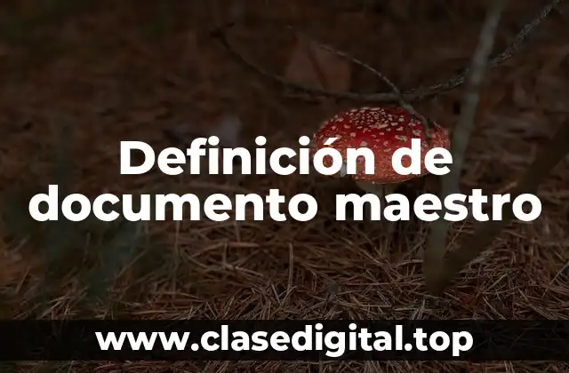 Definición de documento maestro