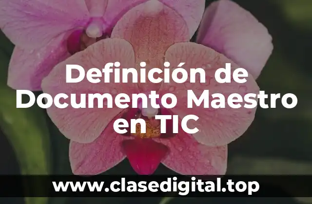 Definición de Documento Maestro en TIC