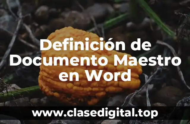 Definición de Documento Maestro en Word