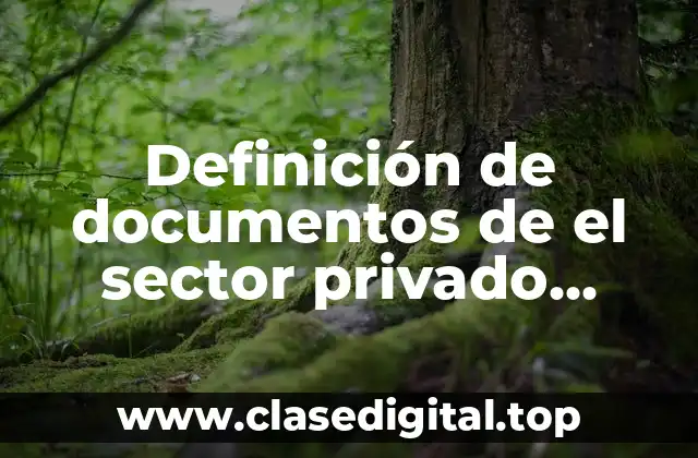 Definición de documentos de el sector privado general balance general