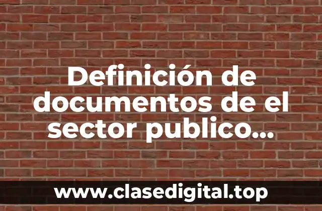 Definición de documentos de el sector publico general balance general