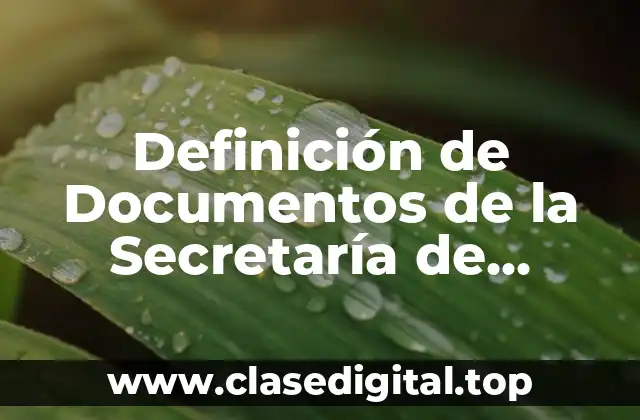 Definición de Documentos de la Secretaría de Economía