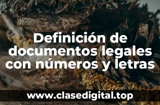 Definición de documentos legales con números y letras