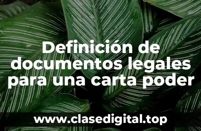 Definición de documentos legales para una carta poder