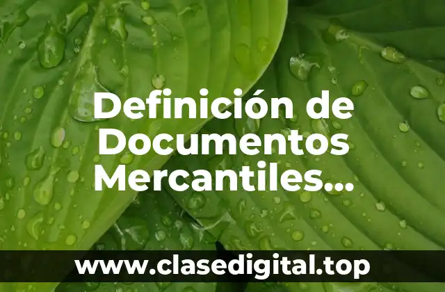 Definición de Documentos Mercantiles Negociables