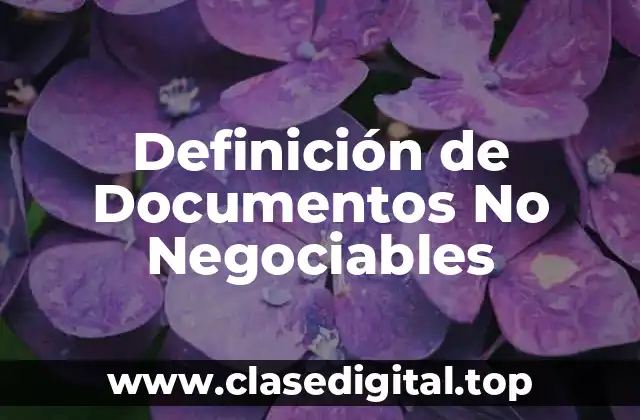 Definición de Documentos No Negociables