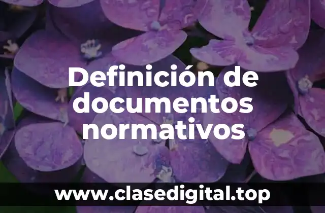 Definición de documentos normativos