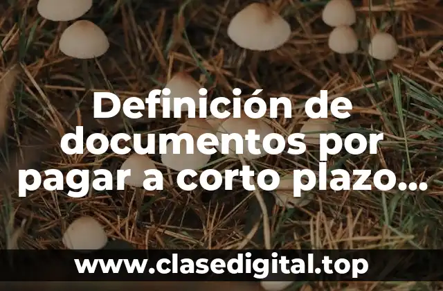 Definición de documentos por pagar a corto plazo en contabilidad