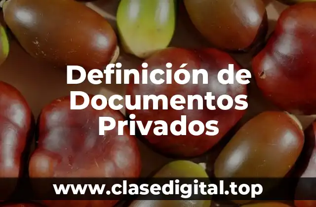 Definición Técnica de Documentos Privados