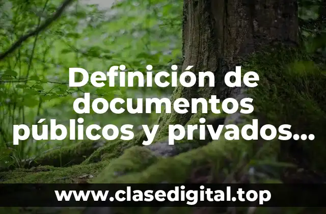 Definición de documentos públicos y privados como prueba