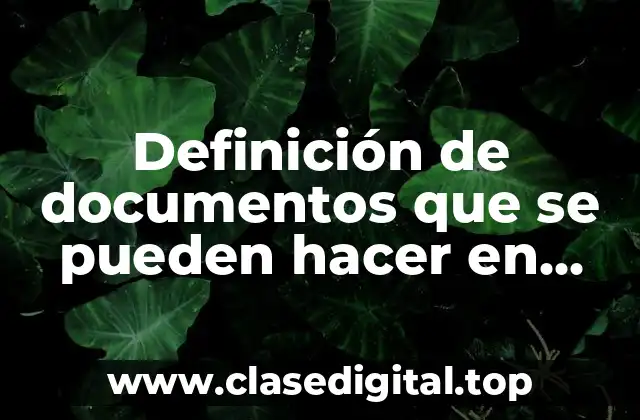 Definición de documentos que se pueden hacer en Excel