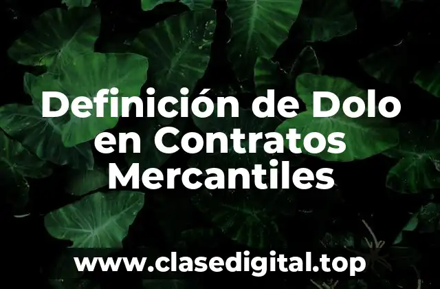 Definición de Dolo en Contratos Mercantiles