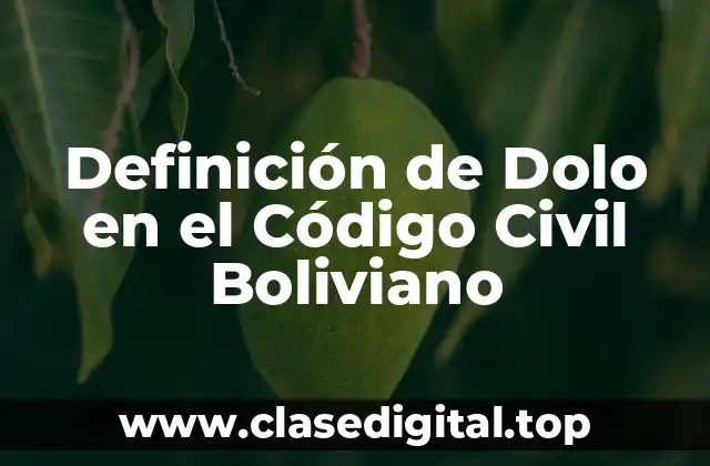 Definición de Dolo en el Código Civil Boliviano