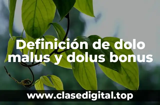 Definición de dolo malus y dolus bonus