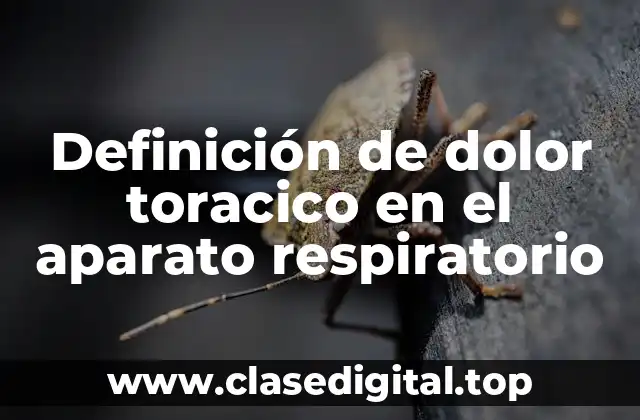 Definición de dolor toracico en el aparato respiratorio