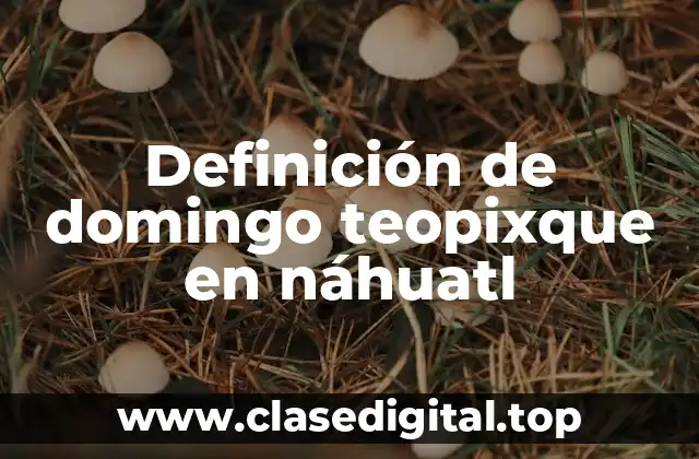 Definición de domingo teopixque en náhuatl