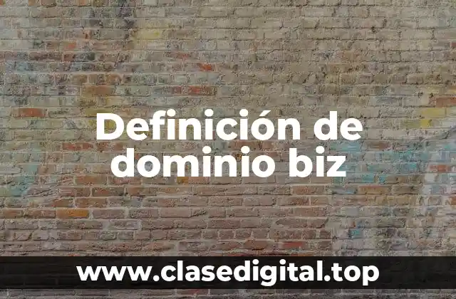 Definición de dominio biz