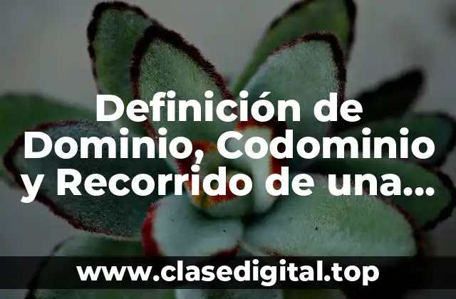 Definición de Dominio, Codominio y Recorrido de una Función