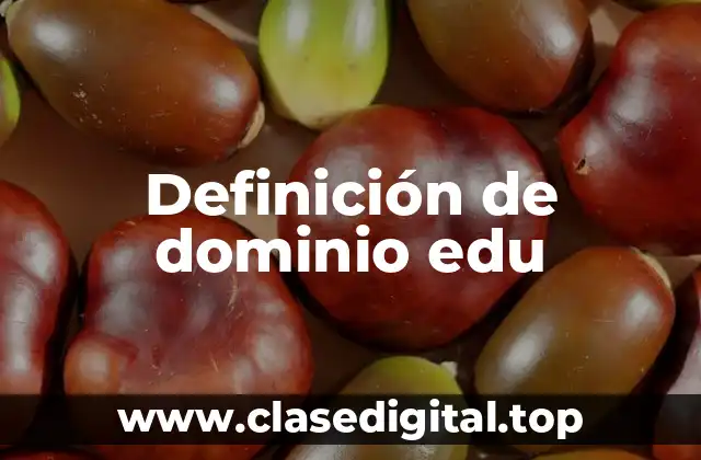 Definición de dominio edu