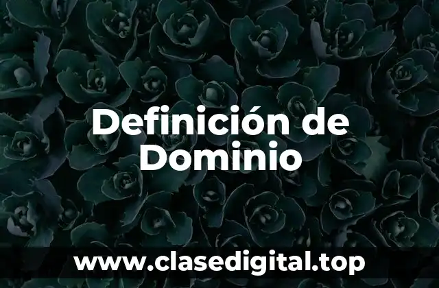 Definición de Dominio